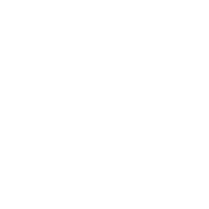 canals dentistry